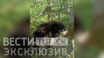 Обложка новости