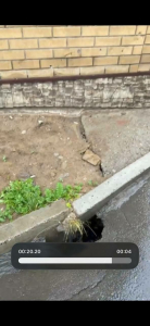 Отмостка многоквартирного дома треснула в Иркутском районе