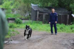 Спортивно-оздоровительный комплекс и крытый каток планируют построить в Иркутске