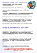 Профилактика детского дорожно-транспортного травматизма