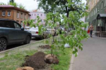 В Иркутске благоустройство северной части острова Юность завершат к концу июля