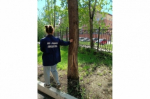В Иркутске приостановили движение троллейбусов по нескольким маршрутам