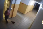 7-летняя девочка пострадала после падения с третьего этажа в Усолье-Сибирском