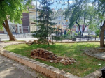 В Иркутске отремонтируют сквер «Кошка»