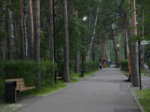 Единый стандарт благоустройства городских территорий утвердили в Приангарье