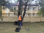Депутат Думы Ангарского городского округа Мария Бачина организовала наведение порядка во дворах в рамках акции «80 добрых дел»