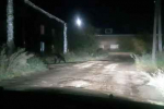Медведь во всю погнался за работником предприятия в Усть-Илимске – мужчина успел убежать