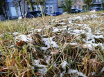 Температура упадет вплоть до -5°C - метеоролог предупредила о заморозках в Приангарье Анета Абрамченко, ИА ChitaMedia