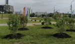 Озеленение провели на общественных пространствах Иркутска
