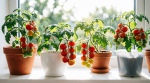 Тематическое фото Создано при помощи ИИ