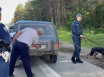 Семерых разыскиваемых и 12 машин с перебитыми номерами нашли в Иркутске
