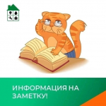 Председатель СНТ требует деньги на «общие нужды», но не объясняет, на что конкретно, да ещё и грозит отключить свет за неуплату