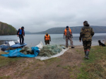 Почти 40 квадратных километров Братского водохранилища очистят в этом году от брошенных сетей