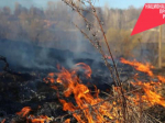 Пожароопасный сезон завершился в Новосибирской области