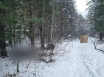 В Нижнеудинском районе охотник случайно застрелил человека при пристрелке карабина